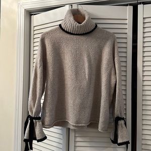 Zara Knit Chunky Turtle Neck